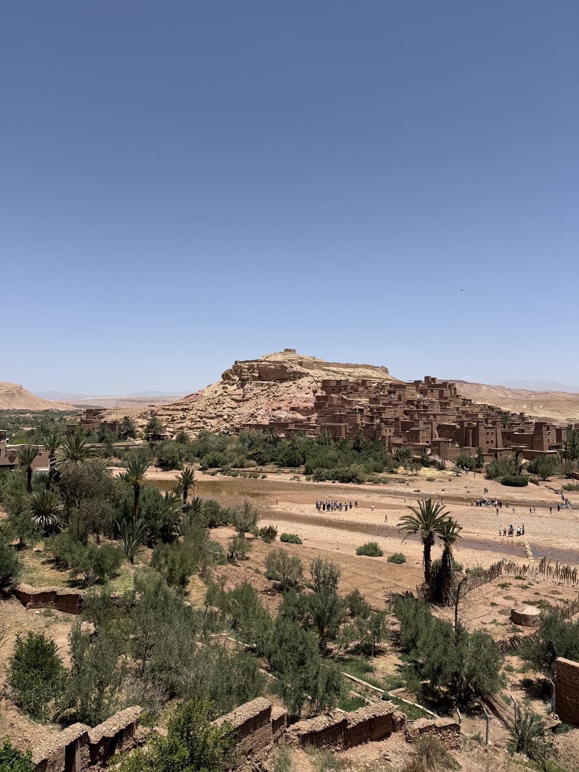 A sunlit earthen settlement rising beyond palms in the Sahara landscape