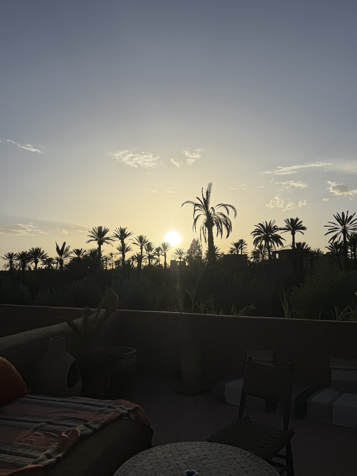 The sun setting behind a grove of palm trees in Morocco