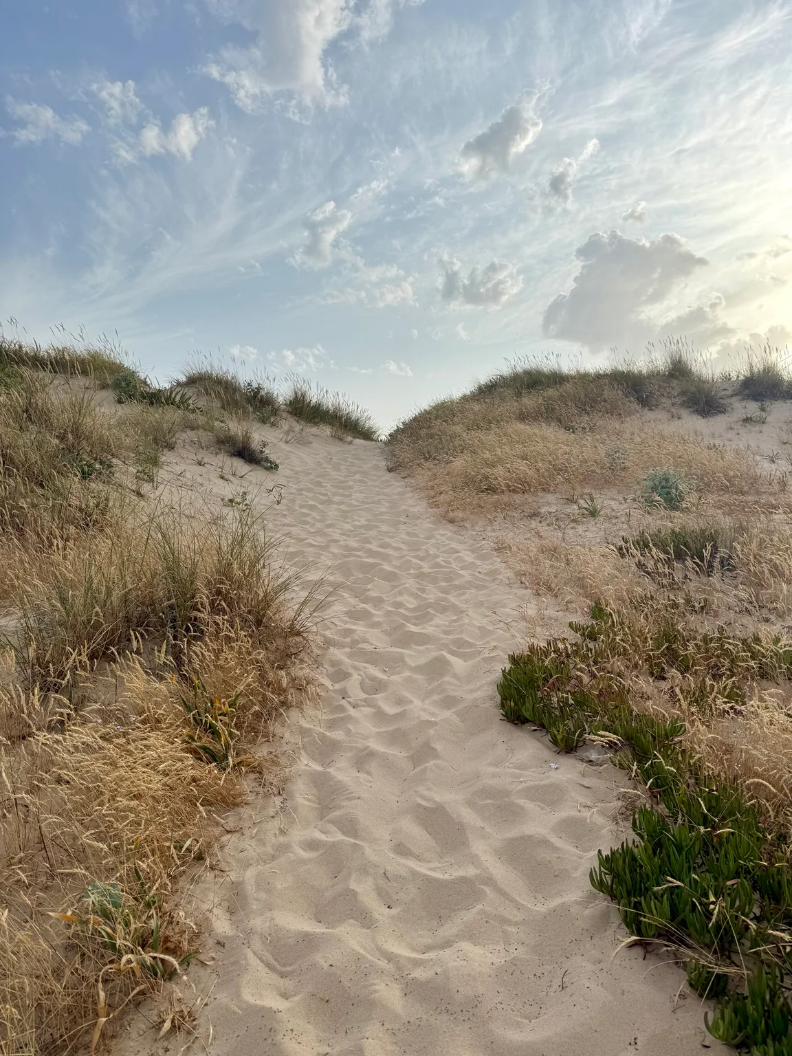 A sandy path rising through beach grass beneath an open sky