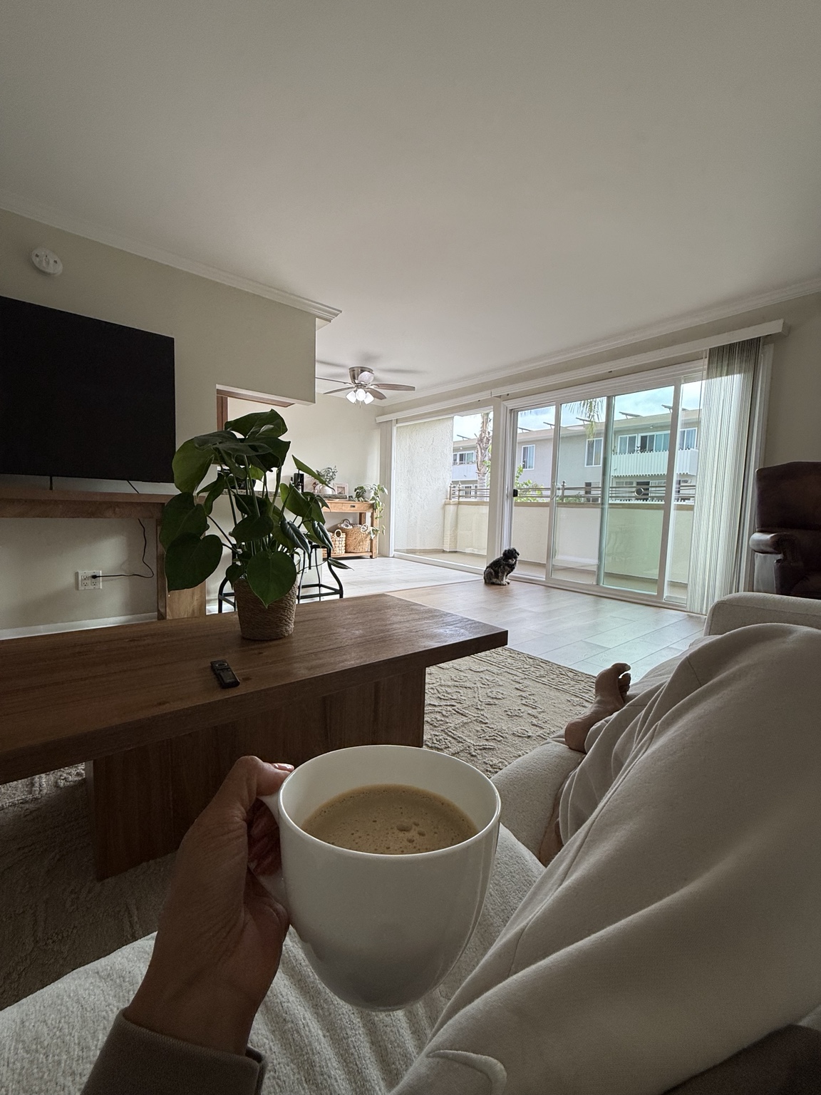 A quiet morning at home with coffee and a dog resting near the balcony